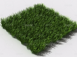野草植物C4D模型 pattern_wild-grass-4