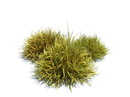 土壤装饰草植物杂草模型下载Decorative grass v3