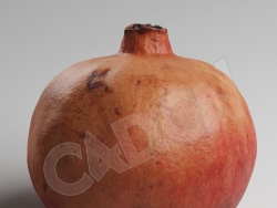 C4D水果模型石榴 Pomegranade