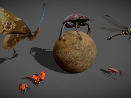 高精度昆虫3D模型合集含屎壳郎七星瓢虫蜻蜓蝴蝶多格式支持附带贴图适用动画虚拟现实教学资源animated-insect-pack