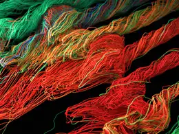 七彩线条样条线平流Spline Advection R16-R21 (X-Particles/Cycles 4D)