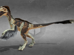 蒙古迅猛龙 velociraptor-mongoliensis-rigged