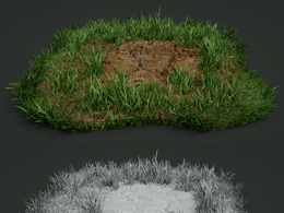 一块长满绿草的肥沃土地C4D模型 Grass Patch