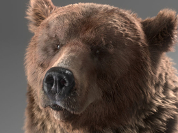 C4D阿诺德Arnold渲染器 SolidAngle C4DtoA 1.4.0 Win/Mac – AMPED/替换和谐版