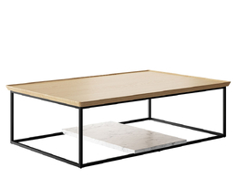 矩形咖啡桌茶几（Rolf Benz品牌）3D模型素材下载Rectangular Coffee Table by Rolf Be