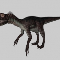 恐龙3D模型：犹他盗龙 Utahraptor