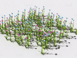 普通花草植物C4D模型 pattern_common-flower-4