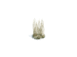 枯草simple grass small v1