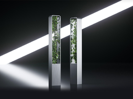 商超装饰：攀爬绿植