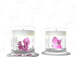 蝴蝶兰玻璃花瓶C4D模型