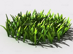 草坪草地绿草植物C4D模型 lawn-grass-e1