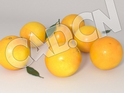 C4D橘子水果模型 Oranges 3d Model