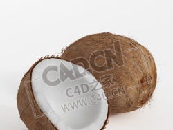 椰子果南方水果一半椰子C4D模型 Coconut