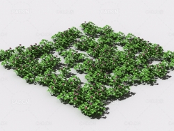 三叶草植物C4D模型 pattern_clover-1
