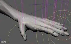 C4D手部绑定视频教程 Rigging in C4D-HD
