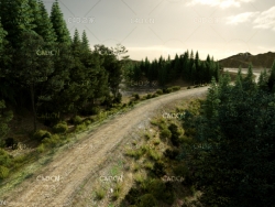 C4D野外山坡山路景观场景 山坡 山地 山路 森林 林间小路 山间小路