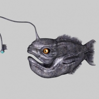 远古海洋生物：鱼 Fish 1