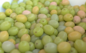 葡萄C4D模型渲染 Grape 3D model