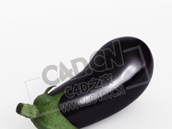 紫茄子蔬菜C4D模型 eggplant