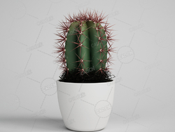 仙人指仙人掌绿植盆栽模型下载