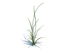 杂草模型下载simple grassL v1