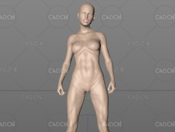 站立的女性人体模型 They Call Her Jack