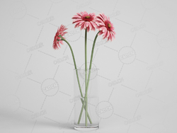 粉红色三支非洲太阳菊新鲜花卉插花玻璃瓶模型下载