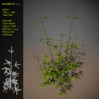 竹子C4D模型 Bamboo（含贴图,C4D/FBX/OBJ）