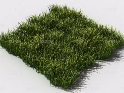 野草植物C4D模型 pattern_wild-grass-6