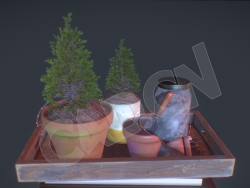 废旧油漆桶树苗盆景松树盆栽植物C4D模型