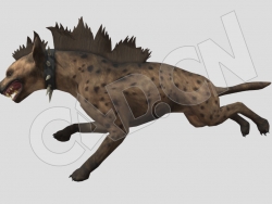 奔跑的斑鬣狗C4D动画模型 hyena