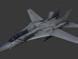 美国海军F-14D“超级雄猫”战斗机F-14D SuperTomcat