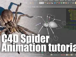 C4D蜘蛛行走动画教程 C4D Spider Animation tutorial