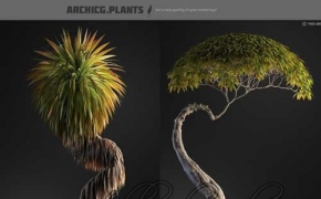 盆栽植物3D模型 ArchiCG Plants : Bonsai4Interior Vol.1