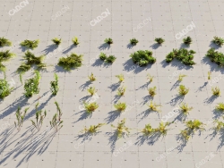 49块青苔苔藓植物模型moss