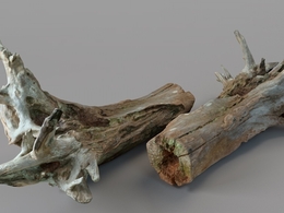 枯树干 枯树根 朽木C4D模型 wood log 3d model
