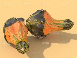蔬菜南瓜C4D模型 Pumpkin 3d model