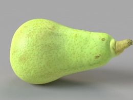 荷兰绿啤梨C4D模型 Conference Pear 3d model