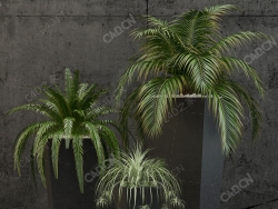 3盆室内景观盆景植物蒲葵针叶绿植吊兰落地盆栽模型落地绿植模型刺葵模型