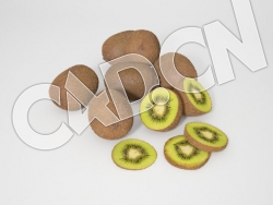 C4D奇异果猕猴桃水果模型 Kiwis 3d Model