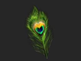 漂亮的七彩孔雀羽毛C4D模型 Feather 3D Model