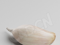 C4D一小块大蒜模型 Garlic