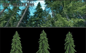 40种冷杉树3D模型合集 Fir Trees 3d model