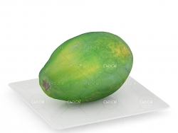 盘子里的木瓜C4D模型 Papaya