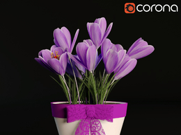 藏红花C4D模型 Crocus flower