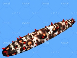 海参刺参C4D动画模型 sea cucumber c4d model