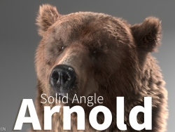 C4D 阿诺德渲染器插件 SolidAngle C4DtoA 3.1.1.1 R23 Mac替换解锁版