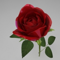 一枝玫瑰花C4D模型 Rose（R15）