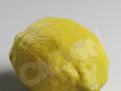 C4D柠檬水果模型 Lemon