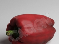 C4D甜椒柿子椒蔬菜模型 Pepper
